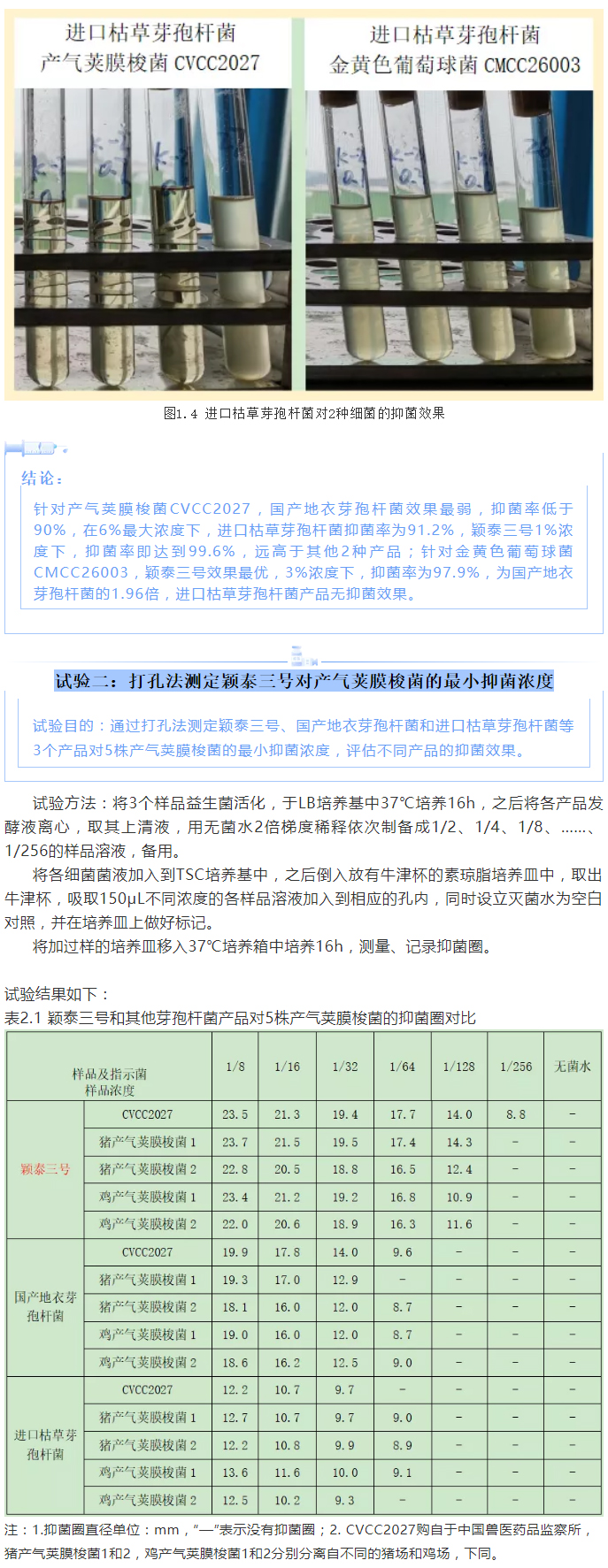 實(shí)驗(yàn)室簡明評(píng)估穎泰三號(hào)抑菌效果報(bào)告_03