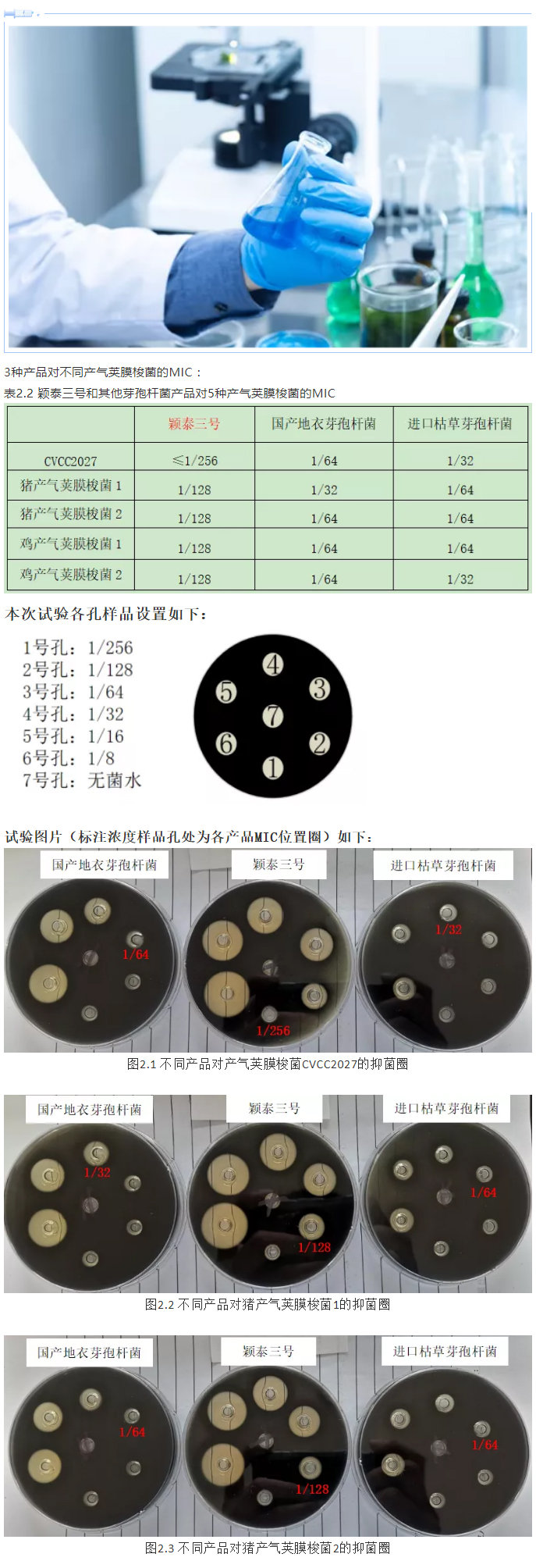 實(shí)驗(yàn)室簡明評(píng)估穎泰三號(hào)抑菌效果報(bào)告_04