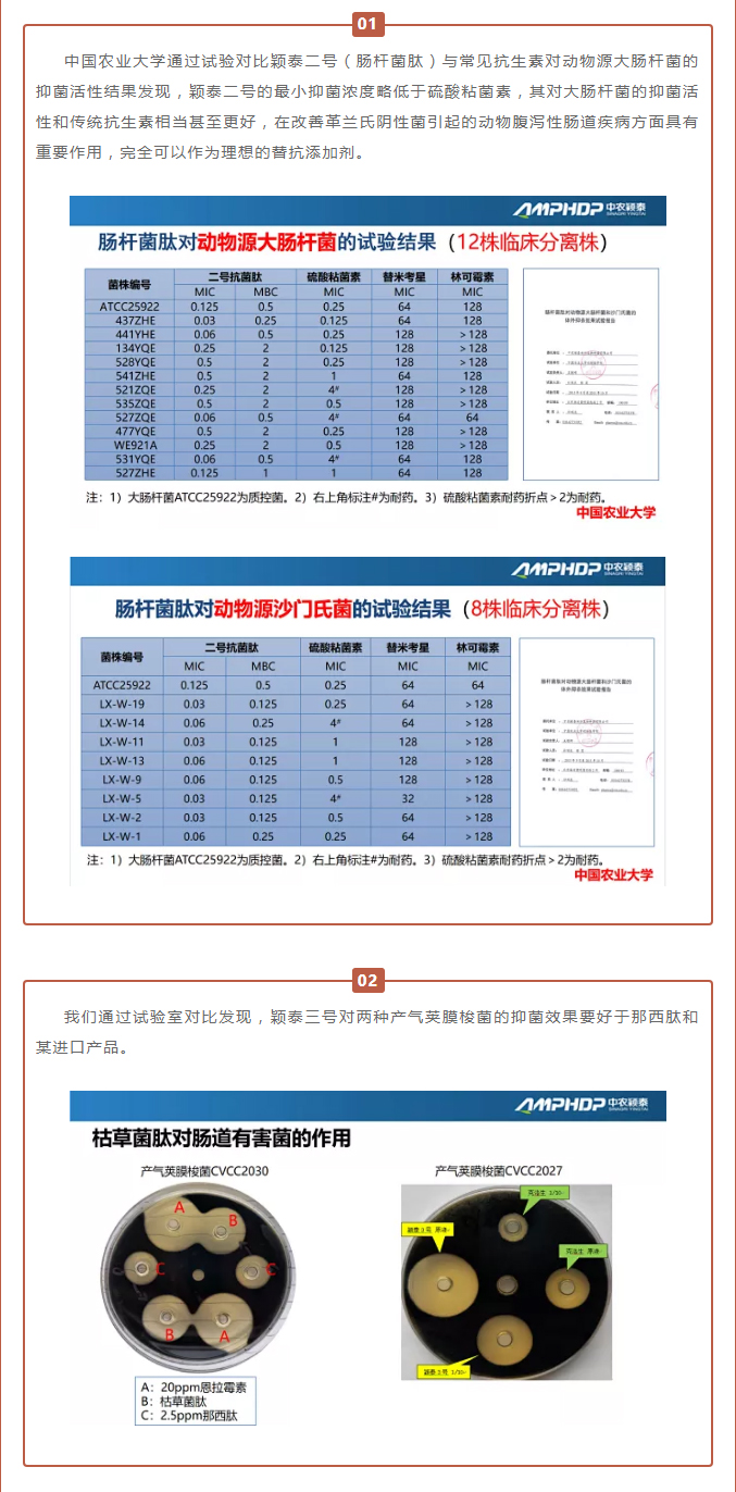 中農(nóng)穎泰-助力河南省飼料工業(yè)協(xié)會(huì)2021年度峰會(huì)_03