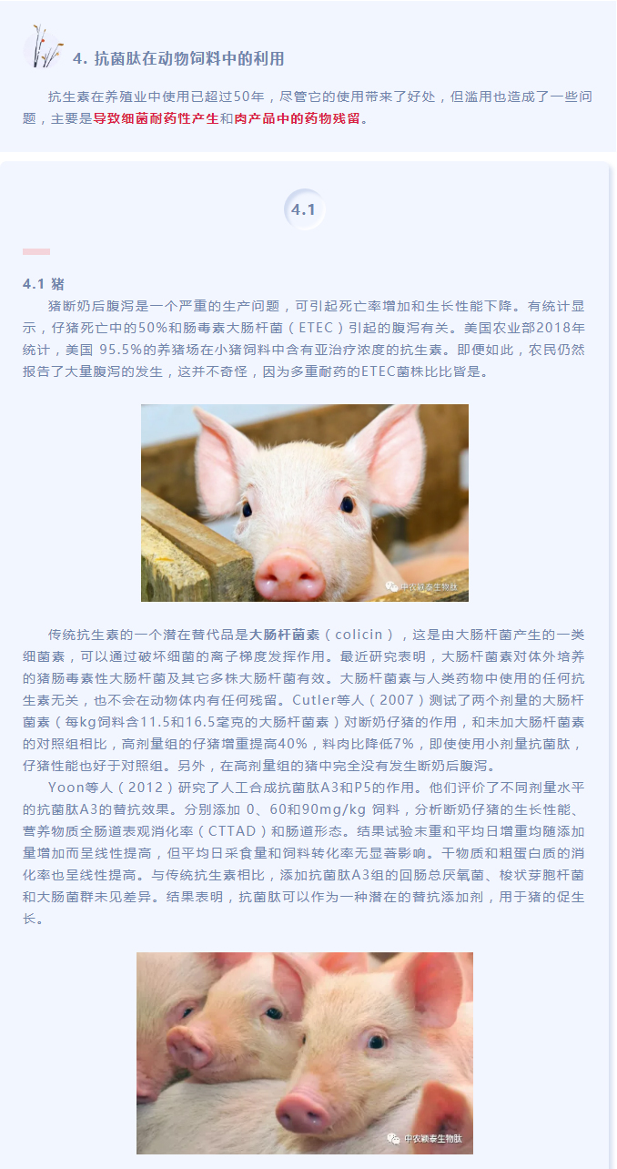 抗菌肽作為替抗飼料添加劑對動(dòng)物生產(chǎn)、食品安全和公共衛(wèi)生影響的綜述（下）_01