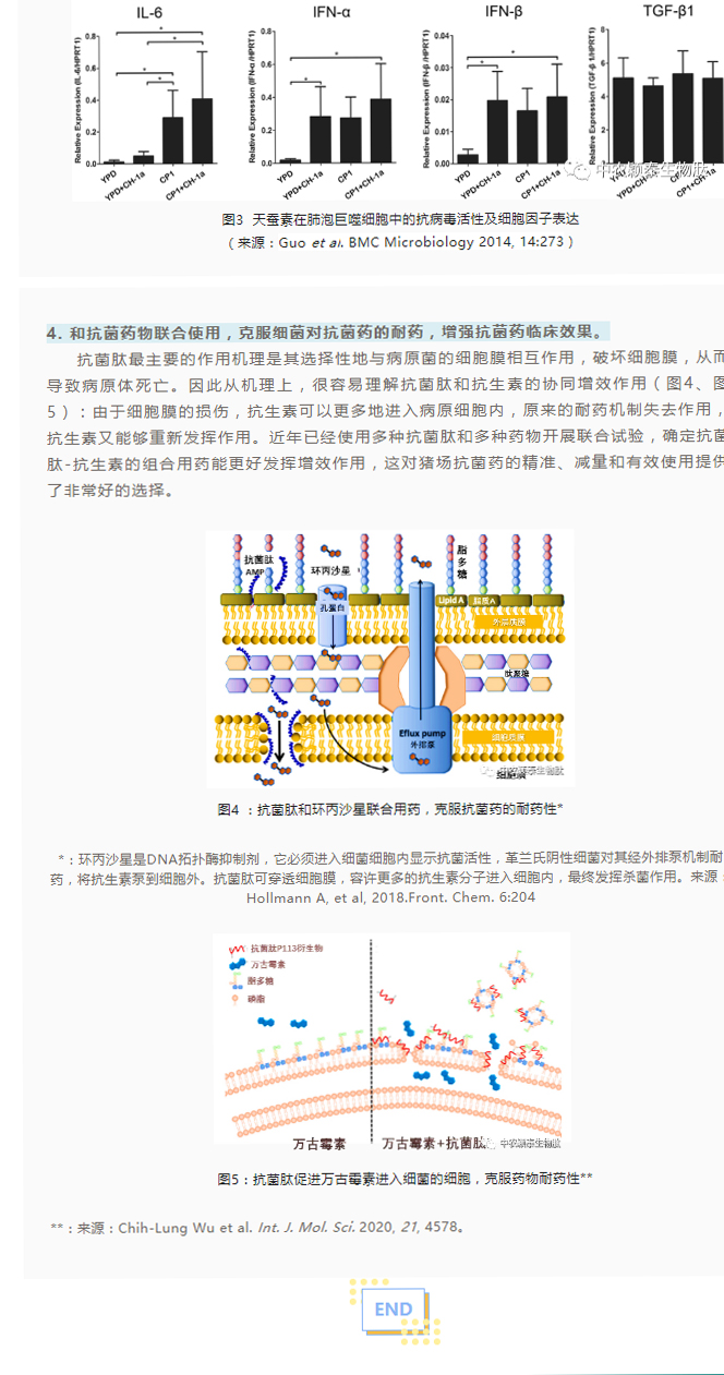 淺談抗菌肽添加劑在養(yǎng)豬現(xiàn)場的應(yīng)用_03