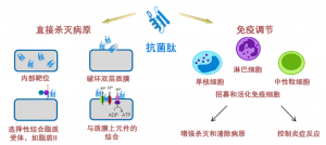 泰倍健——新型免疫增強(qiáng)劑，構(gòu)建核心抗病力